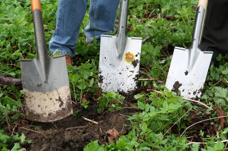 pepiniere-FONTAN-min_work-lawn-flower-tool-green-backyard-1103633-pxhere.com